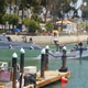The July 12, 2017 photo from Dana Point, California that sparked guesses that the Mexican Navy had arrived in the US (Photo from BoatDesign.net)
